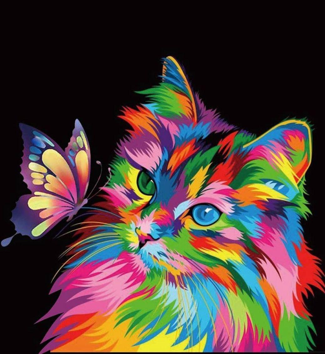 Gato y mariposa colorida