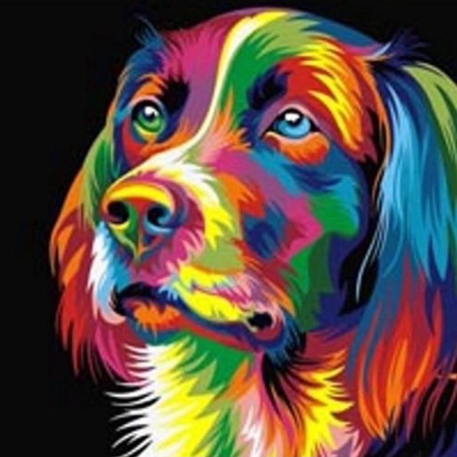 Perro colorido
