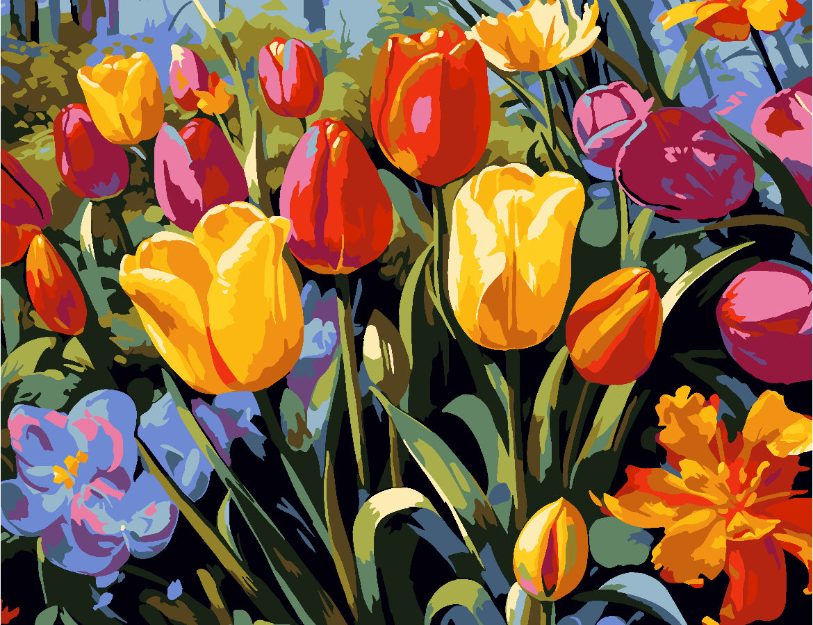 Tulipanes coloridos 💎