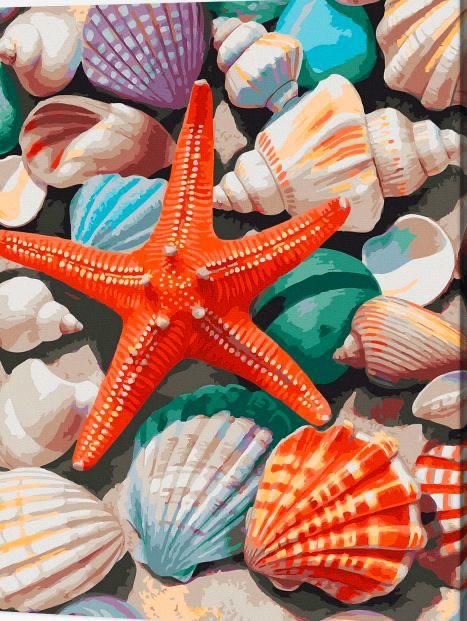Estrella de Mar