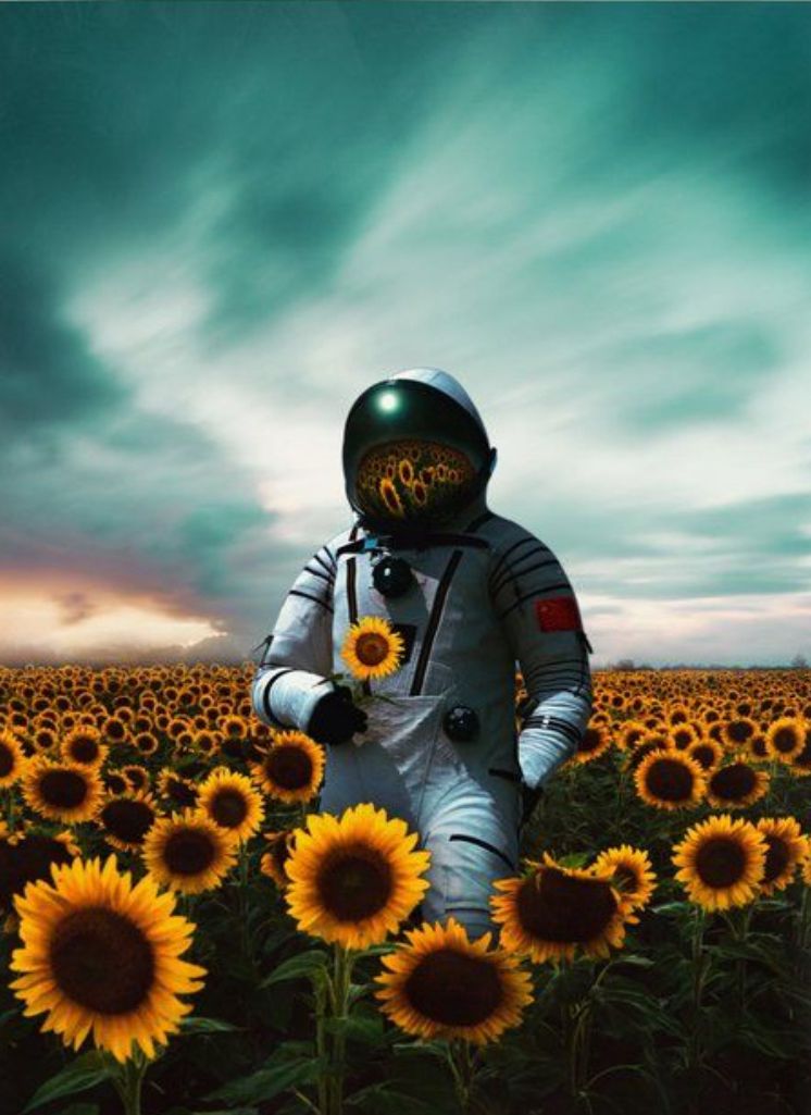 Astronauta y girasoles