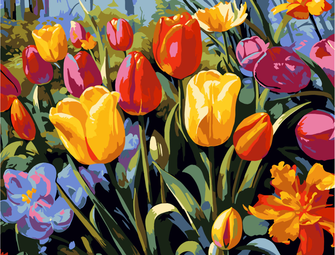 Tulipanes silvestres