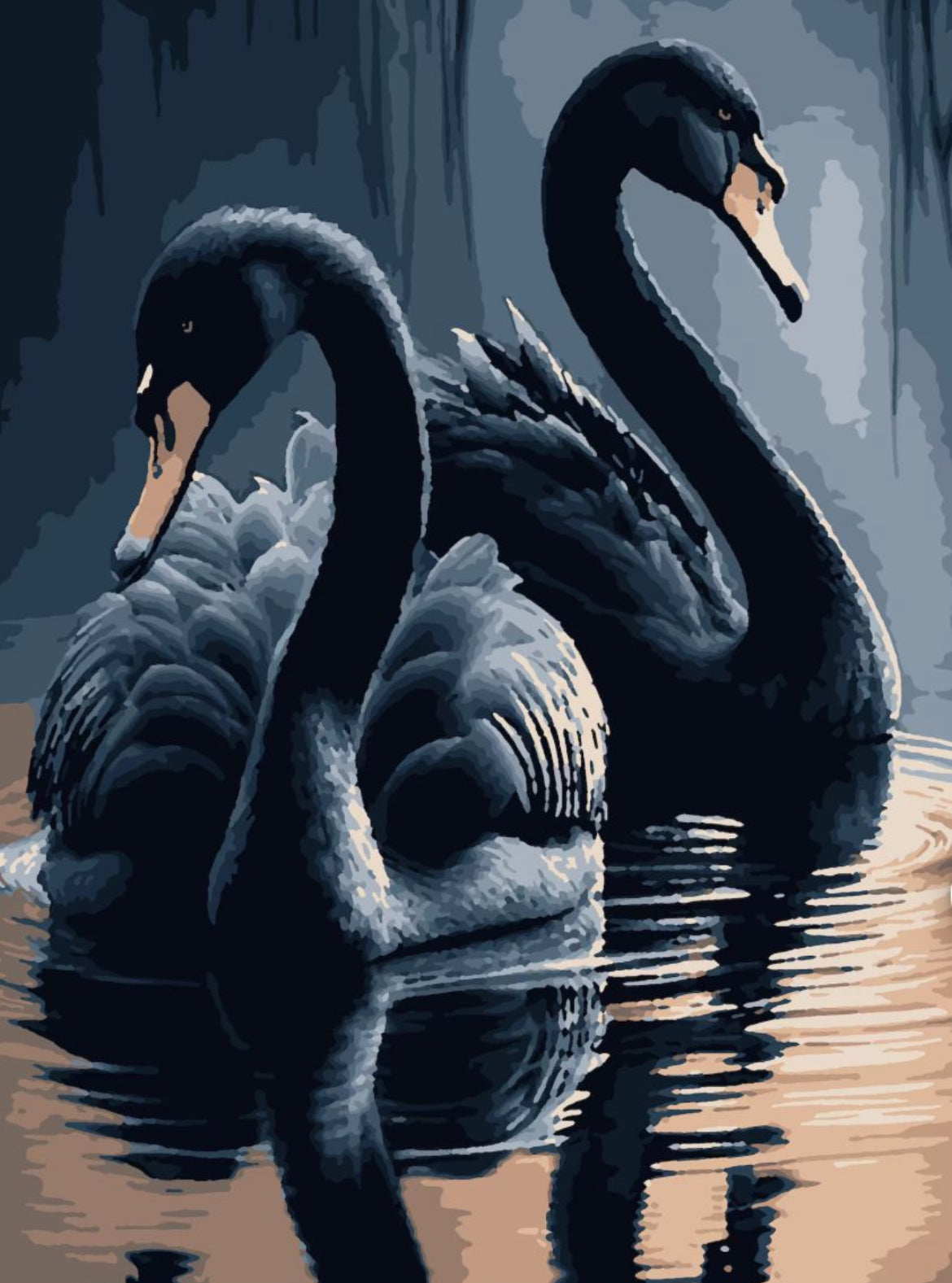 Cisne Negro